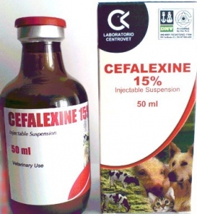 Цефалексин в аптеках